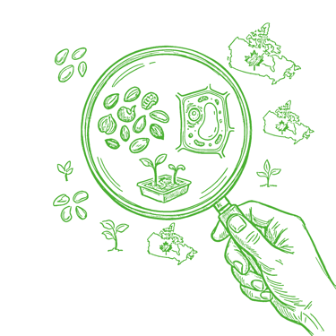 Green line art illustration of a hand holding a magnifying glass over seeds, plant cells, and maps of Canada.