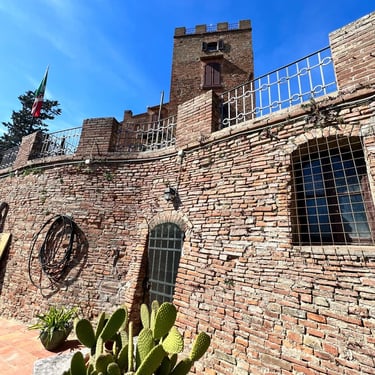 Historic medieval brick tower in Certaldo Alto, Tuscany, with a sunny foreground featuring a cactus