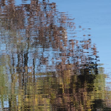 Impressionism: the wobbly reflection of trees in one of the Navigli canals in Milan, Italy.
