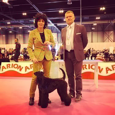 Exposicion canina Kerry blue 