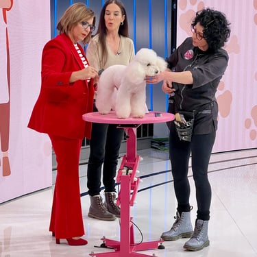 Peluquería Canina Truka en TeleMadrid