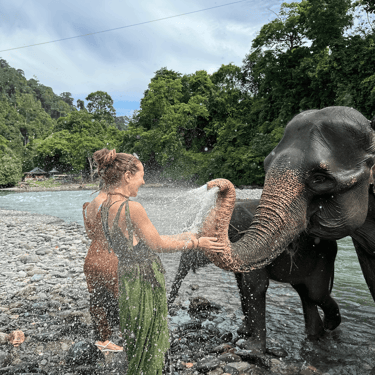 Tangkahan elephant bathing