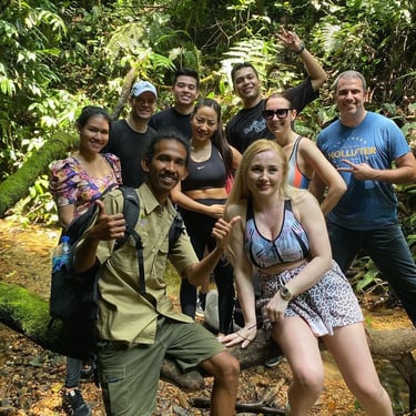 About Us Sumatra Orangutans