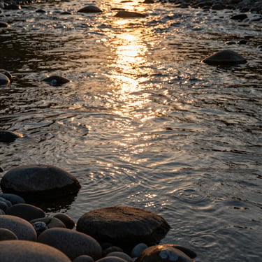 A calm, flowing river reflecting golden hour sunlight, smooth stones in the foreground.