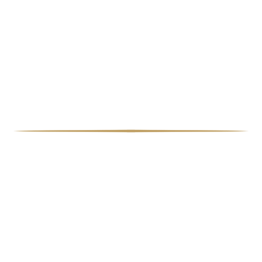 Minimalist gold line divider graphic isolated on a solid black background.