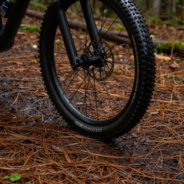 Close-up shot of a mountain bike tire on wet forest soil, pine needles on the ground, rich earthy tones, 35mm