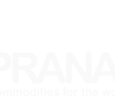 Arabica Green Bean Coffee Non Roasting supplier