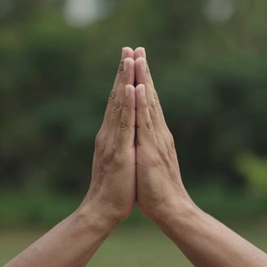 Square crop of hands in anjali mudra prayer position at chest height, soft natural side light, blurred green garden background, calm and focused