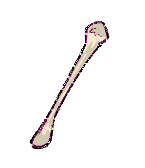 Dinosaur Bone