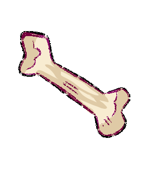 Dinosaur Bone