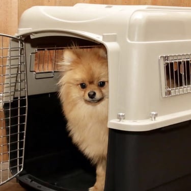 Entrega manejada con mucha responsabilidad.