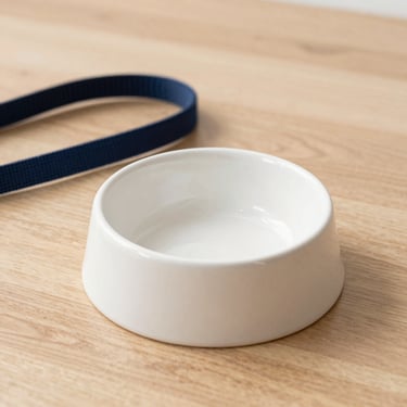 A ceramic pet bowl on a clean wooden floor next to a premium woven dog leash, warm natural lighting.