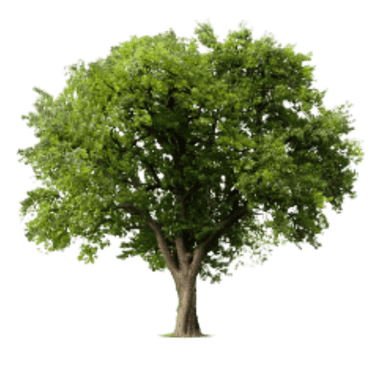 Descubre más sobre nuestro compromiso social.