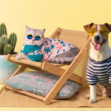Gato en una silla vistiendo unos lentes y camisa hawaiana rosa, al lado un perro vistiendo unos lentes y una playera de rayas