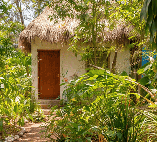 Bungalow tradicional en la selva maya con sendero natural, cerca de Chichén Itzá