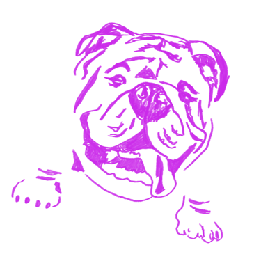 Violet line-art illustration of a bulldog – iconic PIECE OF K. branding mascot