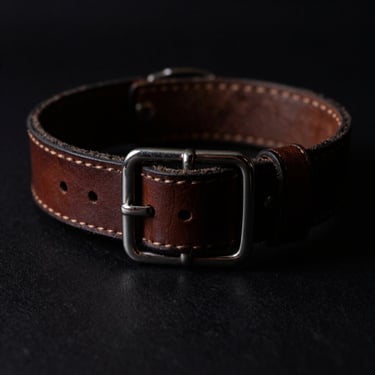 Dramatic low-key studio detail shot of a leather collar with polished metal buckle, chiaroscuro lighting, deep shadows, rich dark tones.