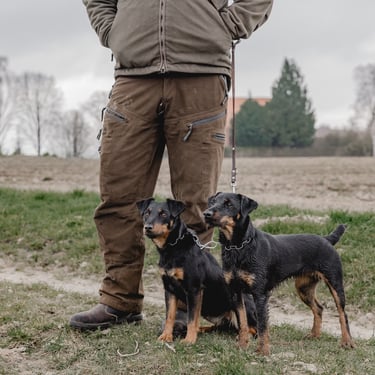 Jagdhund Ausbildung Bauarbeit