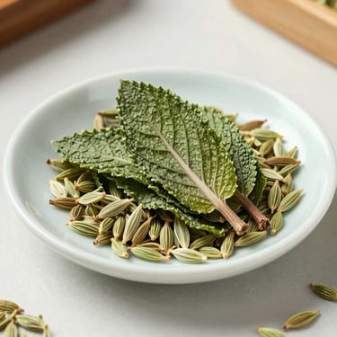 Dried peppermint leaves and green fennel seeds on a clean, light-colored ceramic dish, soft natural shadows.