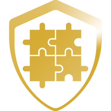 Apex Elite Security Ltd integrated security solutions icon