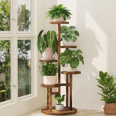 Multi-tier wooden plant stand with various potted indoor plants near a bright window.