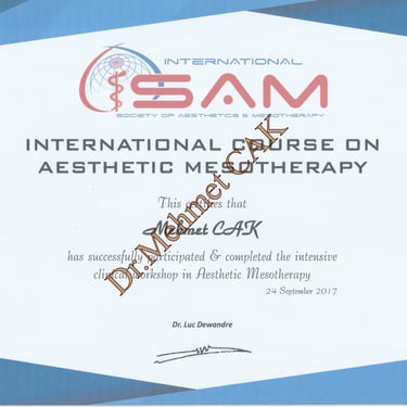 Dr. Mehmet CAK SAM Workshop