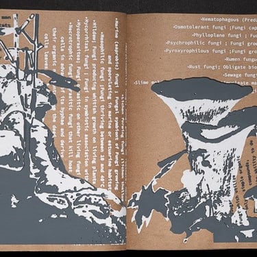 deuxième et troisième page du livre d'artiste Imperium Fungi