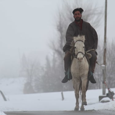 Kashmir trip details - Exploring the misty mountain paths of Pahalgam on horseback for an immersive heritage experience