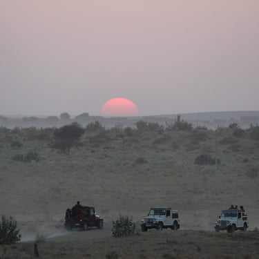 Rajasthan trip details - White jeeps on a desert safari across the misty dunes of Jaisalmer at sunset.