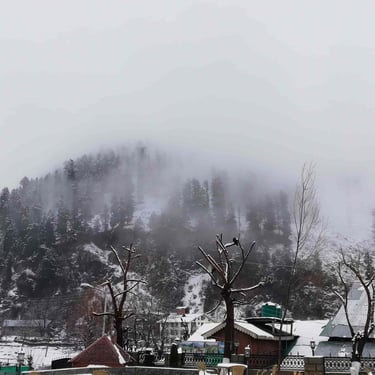 The breathtaking rhythm of mist-covered Himalayan peaks and pine trees in the Kashmiri valley.
