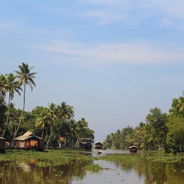 Kerala trip details - Traditional houseboats floating along the serene, palm-fringed backwaters of Alleppey