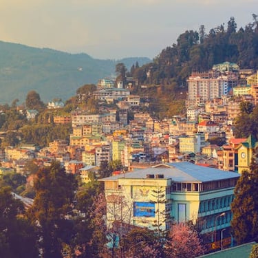 North East trip details - Colorful houses nestled on a lush hillside in a tranquil North Eastern mountain town