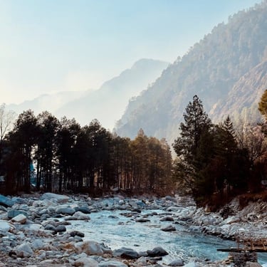 Manali trip details - Soulful view of the Beas River flowing through ancient pine forests and rocky banks.