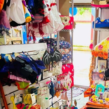 Accesorios de perros y gatos, ropa y correas en veterinaria pekes