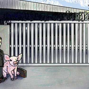 agent zigzag with a pig near a secure site