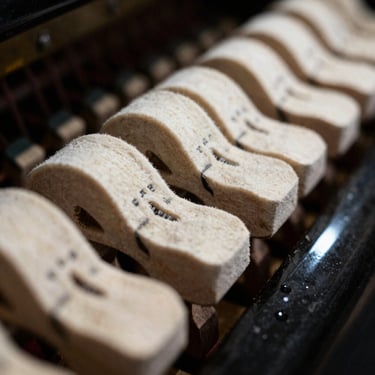 Close-up of piano hammers striking strings, high-contrast shadows, warm ivory tones