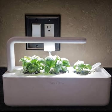 Indoor countertop plant grower with LED light and three growing plants