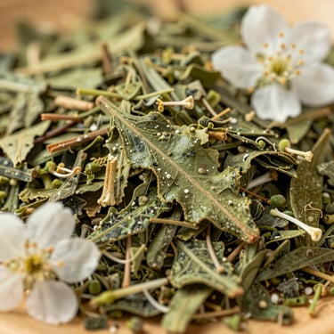 Close-up of fine-cut yerba mate leaves mixed with delicate white blossoms, warm morning light