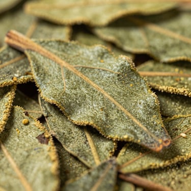 Close-up of premium coarse-cut yerba mate leaves with soft green and golden tones, shallow depth of field