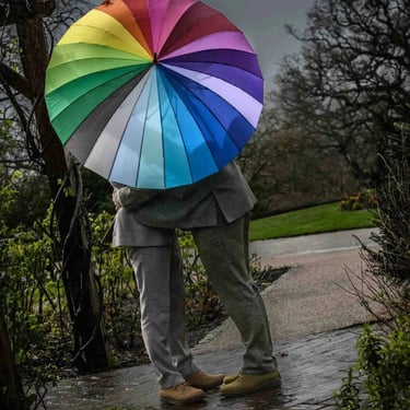 two grooms under their rainbow umbrella