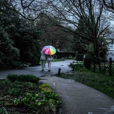two grooms walking around the grounds of Pembroke Lodge Richmond