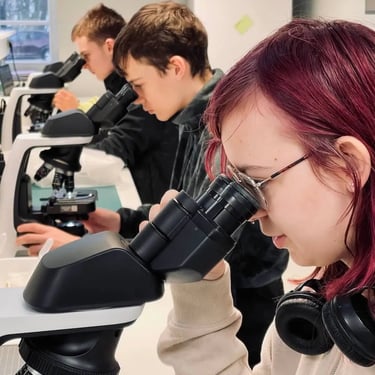 Klaipėdos Valdorfo mokyklos steam veikla 9 klasėje