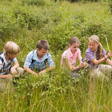 Patyriminis mokymasis