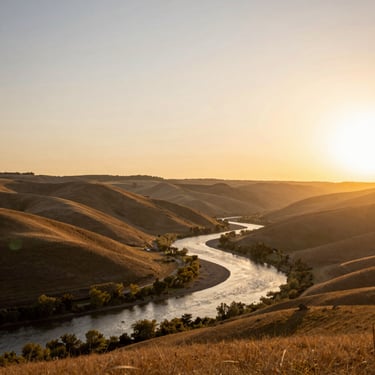A smiling dentist standing in a bright, modern clinic with minimalistic decor.