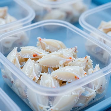 Crisp product shot of pasteurized blue swimming crab meat in a clean, sealed industrial container, cool blue tones, bright lighting.