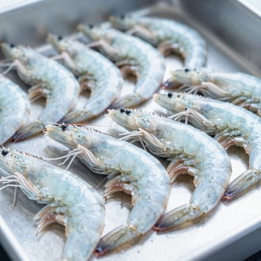 Macro shot of fresh, premium raw shrimp on a steel processing surface, bright natural daylight, cool blue and sterile white tones, sharp focus.