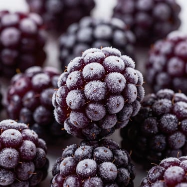 Glistening IQF whole blackberries, individually frozen with light frost crystals, deep purple tones, macro texture, 50mm
