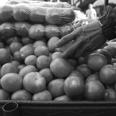 Manos de la vendedora de tomates, ensalzan la vida