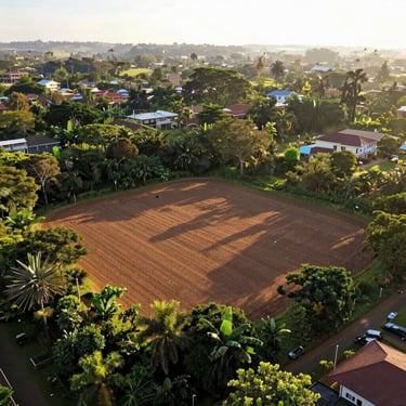 Drone survey of prime residential land parcel in Nairobi, lush surroundings, bright golden hour lighting, 35mm