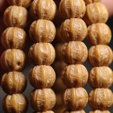 Symmetrical close-up of a seven-mukhi Rudraksha bead, highly defined ridges, illuminated by a warm gold light